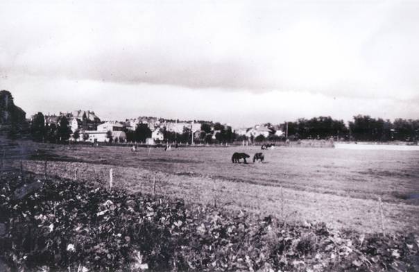 Bilder från gamla Råsunda